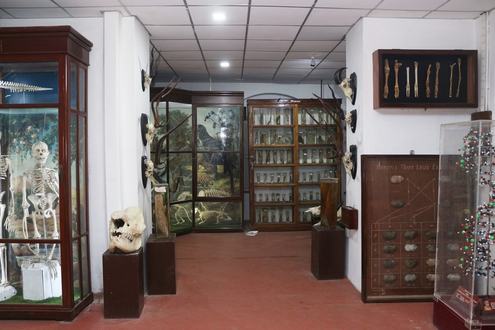 Fr Gabriel Zoology Museum