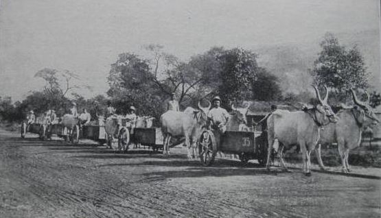 The Patiala State Monorail Tramway was the second monorail system in India after the Kundala Valley Railway in Munnar, Kerala (Courtesy: Public Domain)